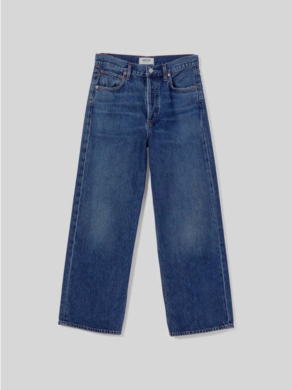 Agolde REN High-Rise Wide Leg Jeans in Medium Blue